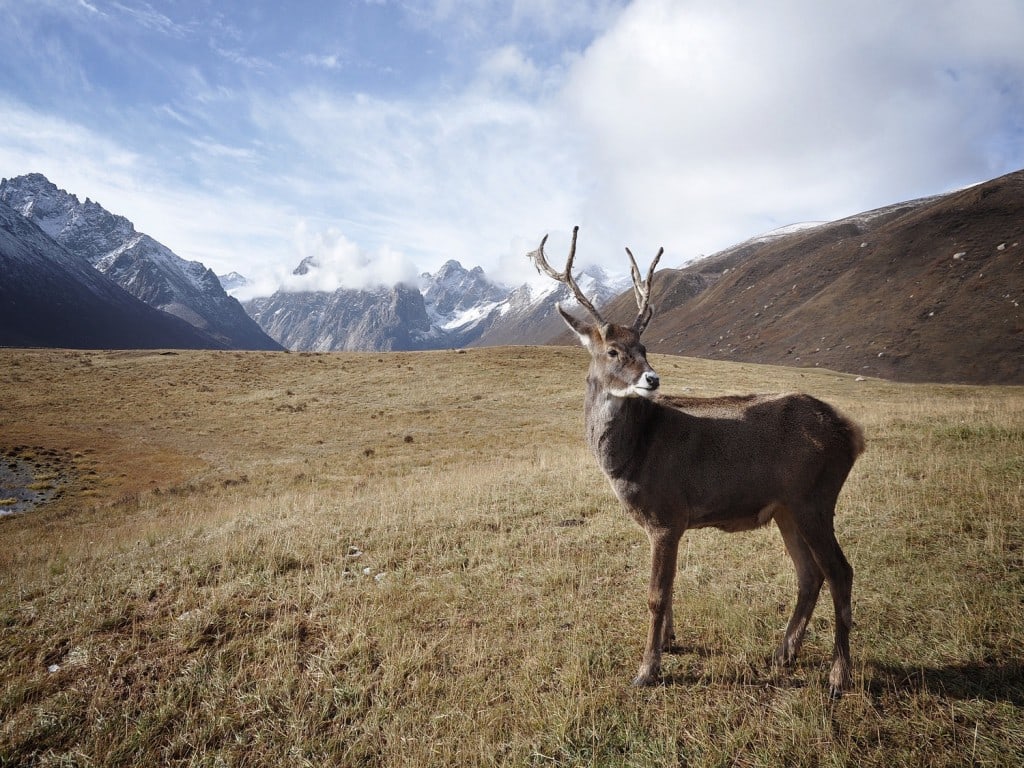Alaska